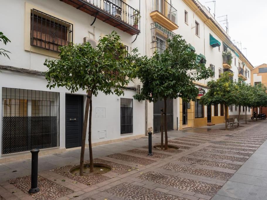 Bhost - La Sacristia 2 * Cordoba